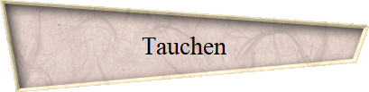 Tauchen