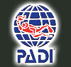 logoPadi03